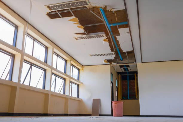 Best Water damage restoration near me  in Deer Park, WA