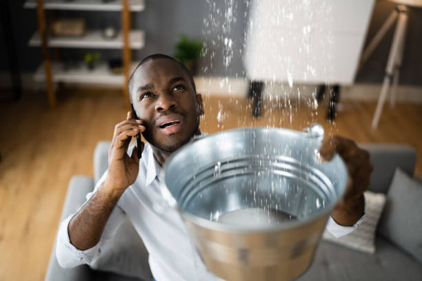 Best Water damage restoration near me  in Deer Park, WA