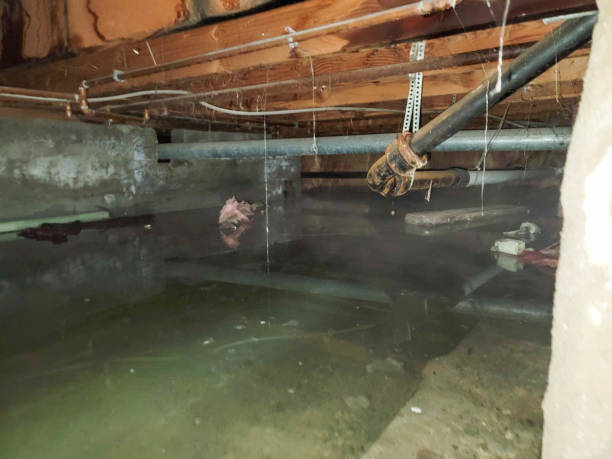 Sewage cleanup and water damage restoration in WA