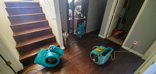 Best Mold removal after water damage  in Deer Park, WA