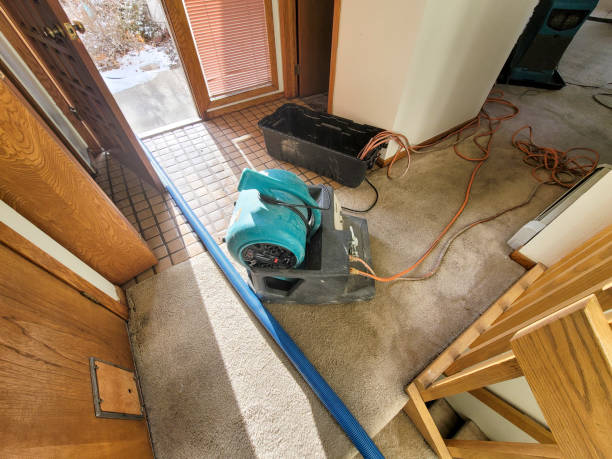 Best Water damage repair service  in Deer Park, WA