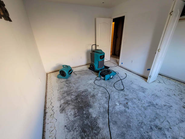 , WA Water damage restoration Company