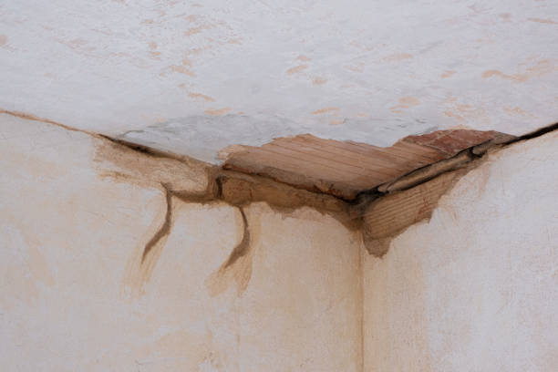 Best Emergency water damage restoration  in Deer Park, WA