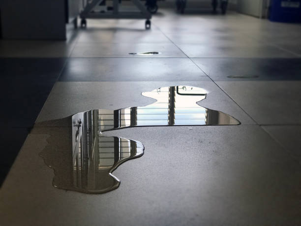 Best Water damage restoration process  in Deer Park, WA