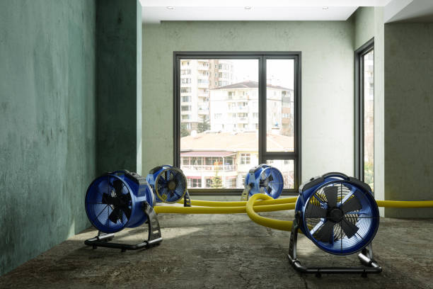 Best Sewage cleanup and water damage restoration  in Deer Park, WA