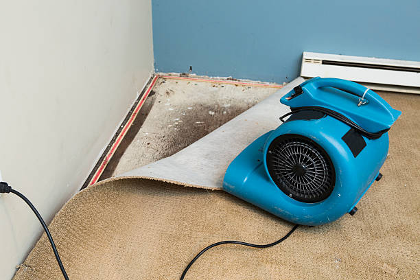 Best Flooded house restoration  in Deer Park, WA